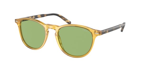 Polo PH4181 Phantos Sunglasses Online Hot Sale - Image 3