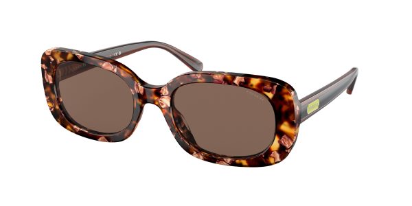 Coach CD868 HC8358F Oval Sunglasses Discount - Image 3