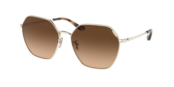 Coach C7998 HC7132 Irregular Sunglasses on Sale