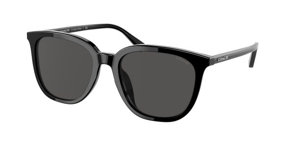 Coach C8006 HC8338U Square Sunglasses Hot on Sale
